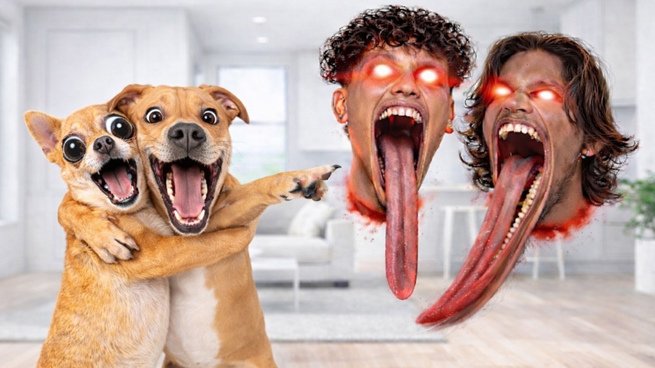 WHAT WRONG WITH MY OWNER...