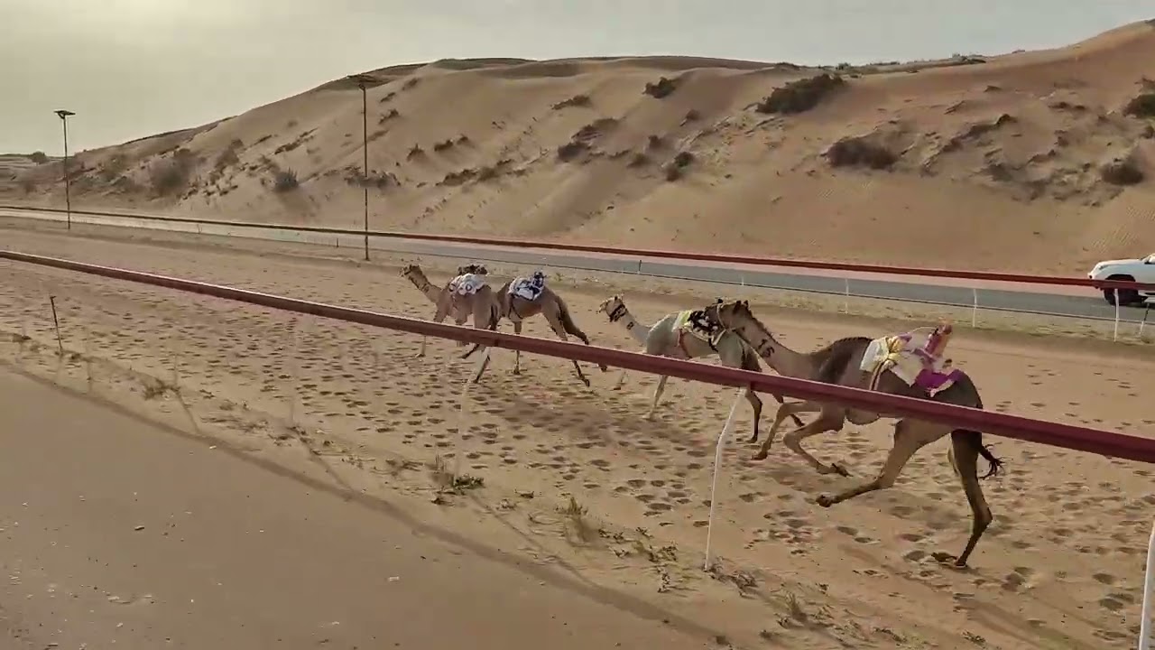 ش18 مراسيم - سالم محمد سالم احمد الوهيبي7:35 