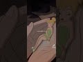 تنه ورنه