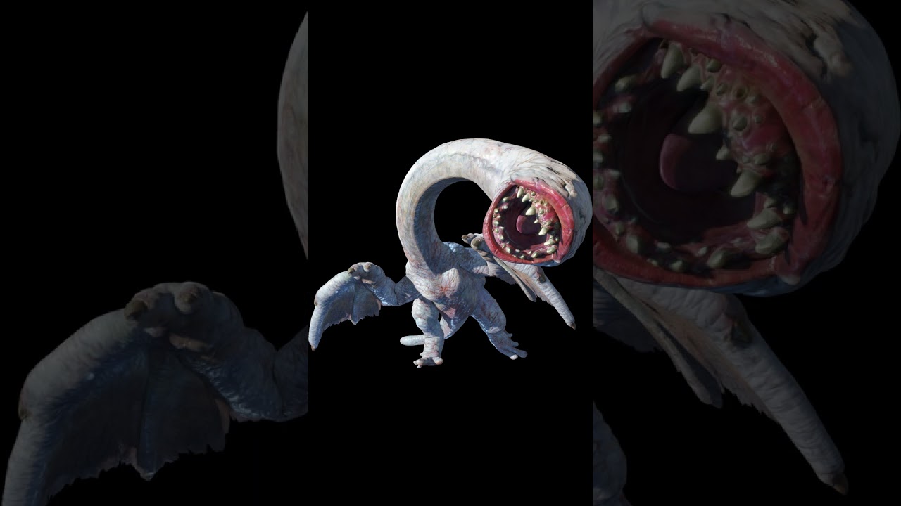 モンスターハンターライス 奇怪龍 フルフル 戦闘BGM