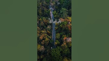 #سورة التغابن بصوت اسلام صبحي ❤️#القرآن الكريم #سورة التغابن