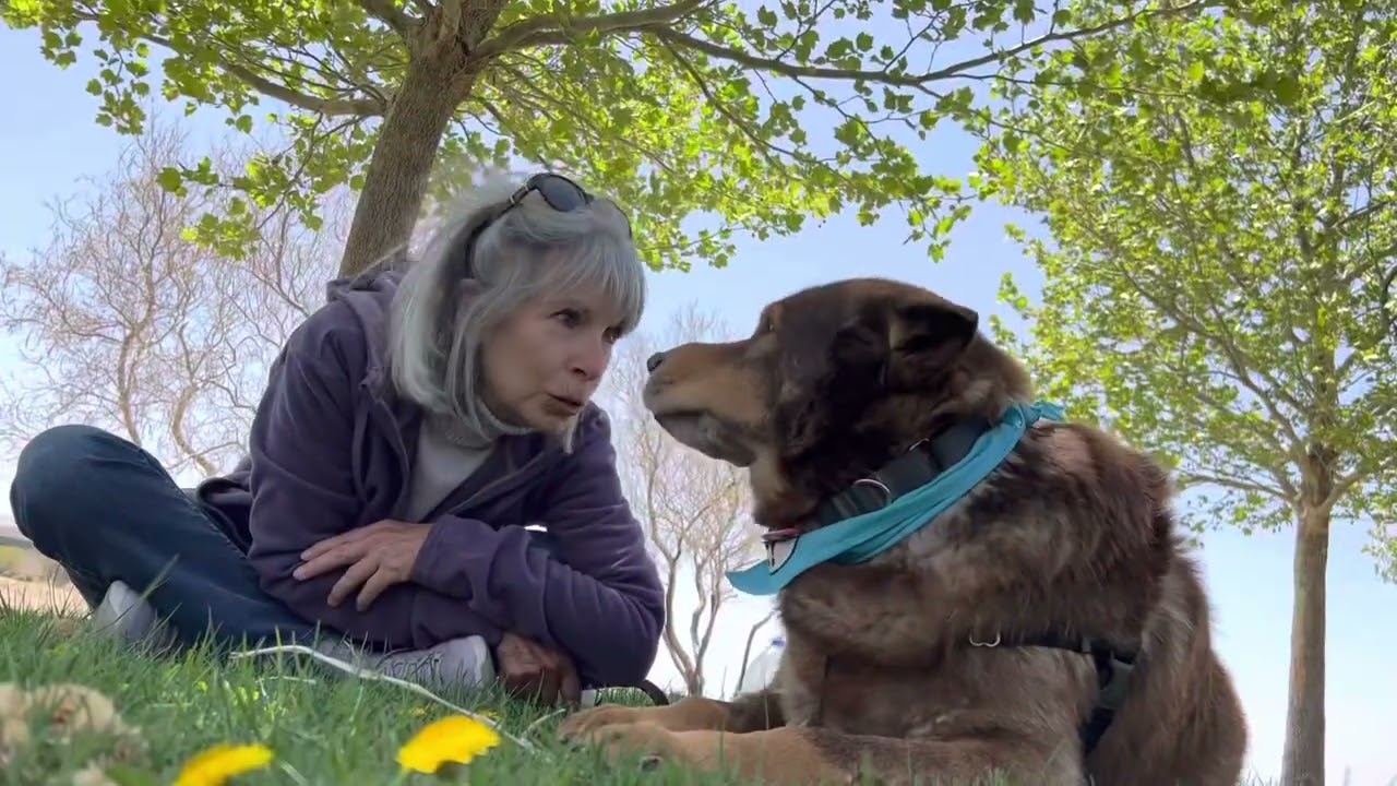 NMDOG IVAN! (Adopted!)