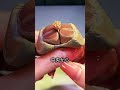 石の中から花が咲く？
