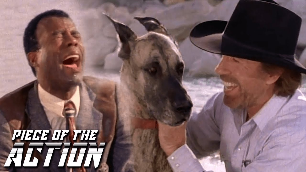 Trivette Dives In Water To Save Dog | Walker, Texas Ranger