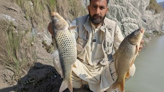 Birds Feeding | Seeing Seagull | Net Hunting | Snow trout  Gulfaurm and Other Fish | Cooking And Fry screenshot 1