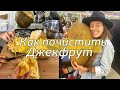 Как почистить Джекфрут? Лайфхак для любителей Джекфрута