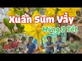Mùng 3 Tết Xuân Sum Vầy|@VũThiHome-j2c