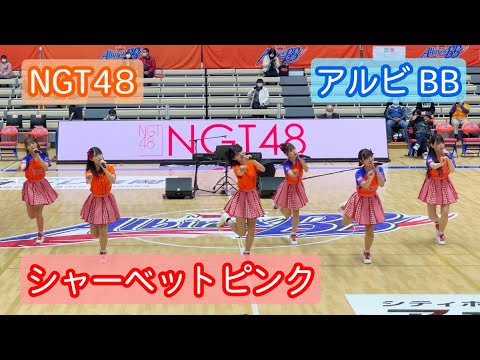 【4K ライブ映像】NGT48「シャーベットピンク」