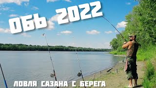 Ловля сазана на Оби 3-6 августа 2022. Готовим шашлык из сазана на берегу. Пробуем новые крючки