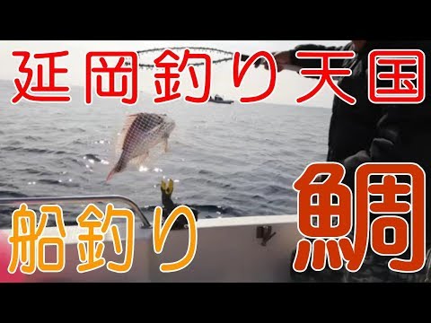 香川 県 グレ 釣り