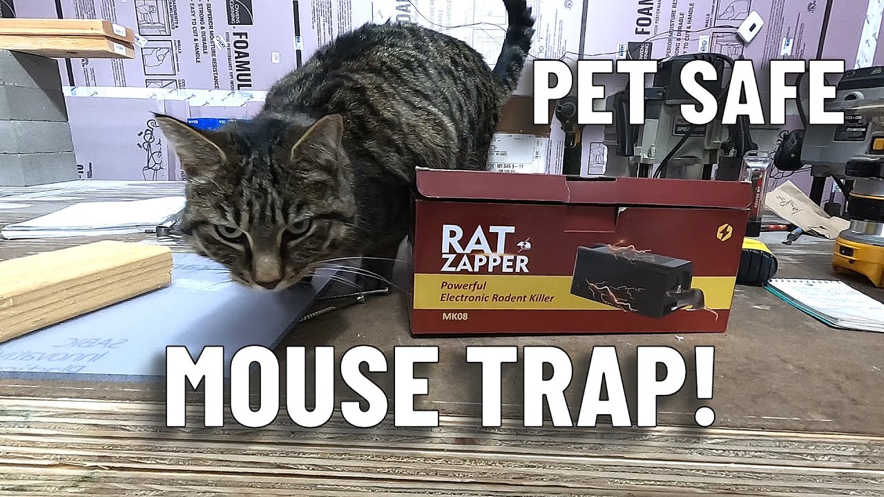 X-PEST Electric Mouse Trap (MK08) ,Upgraded Rat Trap , Extra Large Mouse  Traps Indoor for Home - x-pest