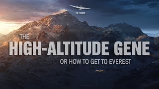 The High-Altitude Gene Or How To Get To Everest | Russian Documentary