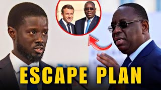 Senegal's former President Macky Sall has fled the country hours after Diomaye Faye was sworn in