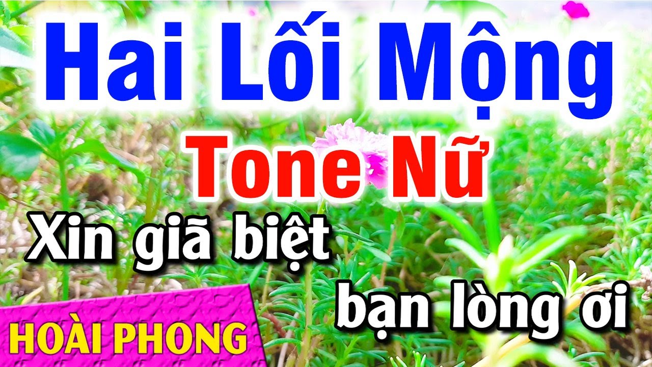 Karaoke Hai Lối Mộng Tone Nữ Nhạc Sống Bolero Dể Hát | Hoài Phong Organ