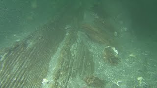 元寇沈没船２隻目か 長崎・鷹島沖で発見