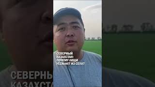 СЕВЕРНЫЙ КАЗАХСТАН: ПОЧЕМУ ЛЮДИ УЕЗЖАЮТ ИЗ СЕЛА? #ско #садвакасов #гиперборей