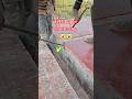 Technique 😱 slab shuttering construction carpenter work plywood shuttering carpenter #shortsfeed