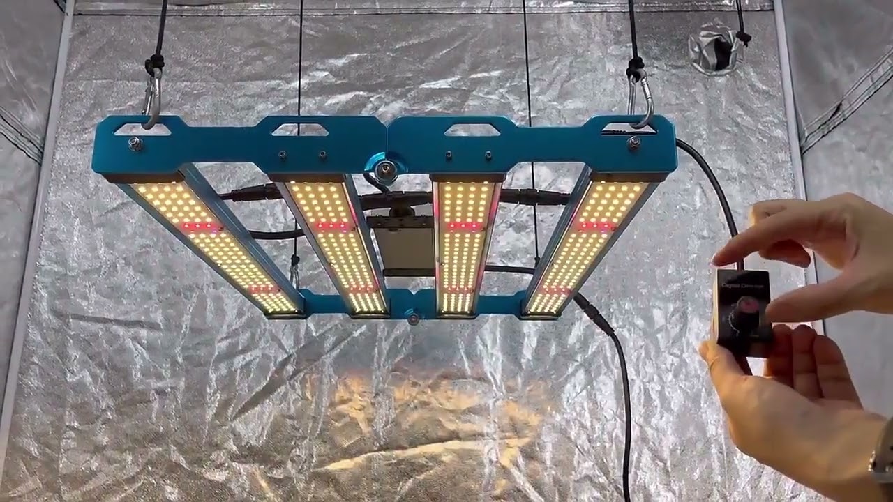 KingBrite 240W Samsung LM301H + OSRAM + UV IR - LED Bitki Yetiştirme Lambası