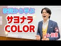 サヨナラCOLORの歌詞の意味から学ぶ!!ハナレグミ(永積タカシ)