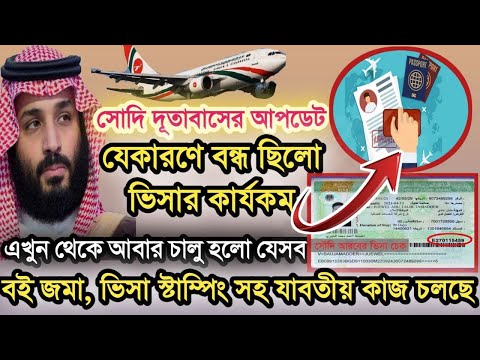 ভিডিও: সেলারি সহ 