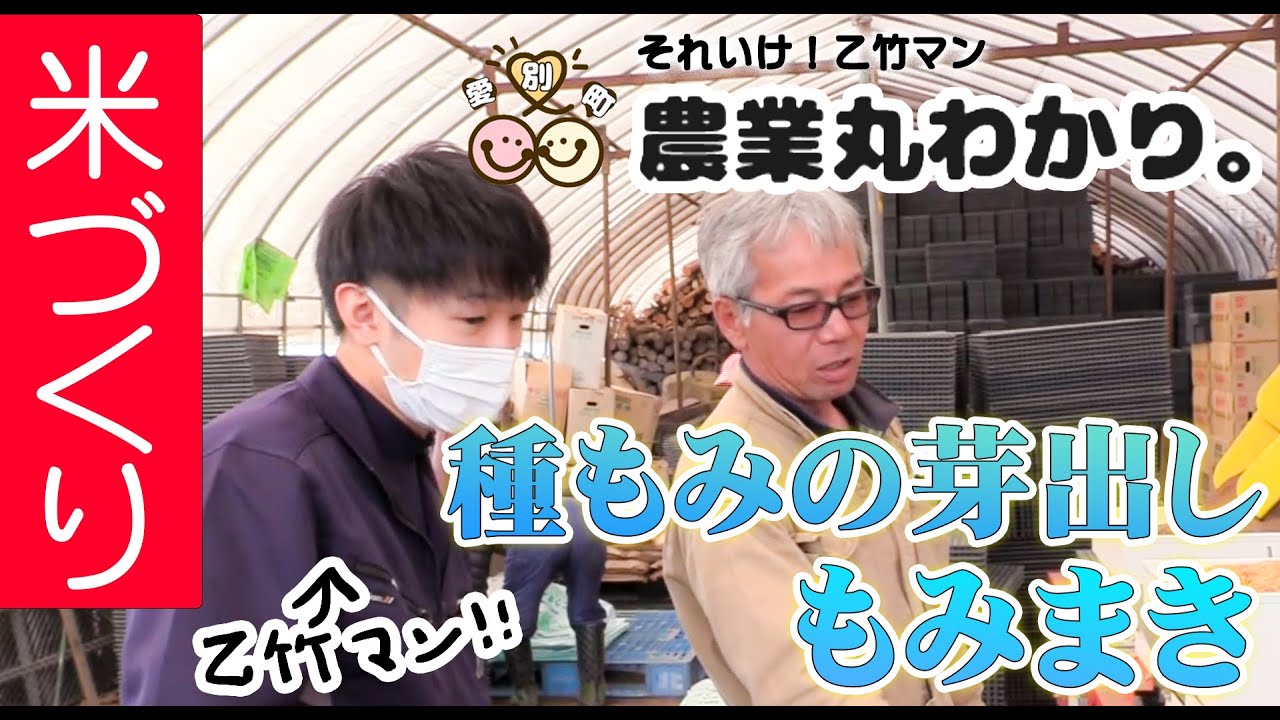 【愛別町農業丸わかり】芽出し～籾まき（お米の種まき）編 / 愛別町職員の乙竹マンが、米作りで必要な芽出し～籾まきの効果を町内で農業を営む（株）金富農産にインタビュー＆苗箱並べ体験をしました。