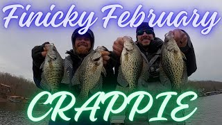 Finicky February Crappie | Lake of the Ozarks | Fishing Report