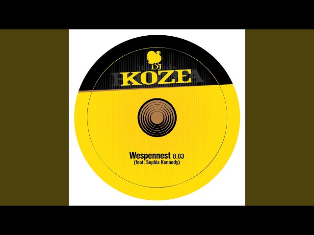 DJ Koze - Wespennest