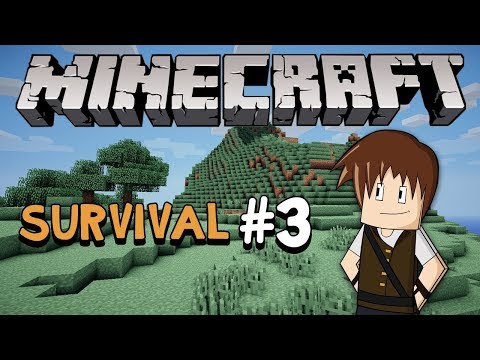 Minecraft Survival #3 დიდი არაფერი :)