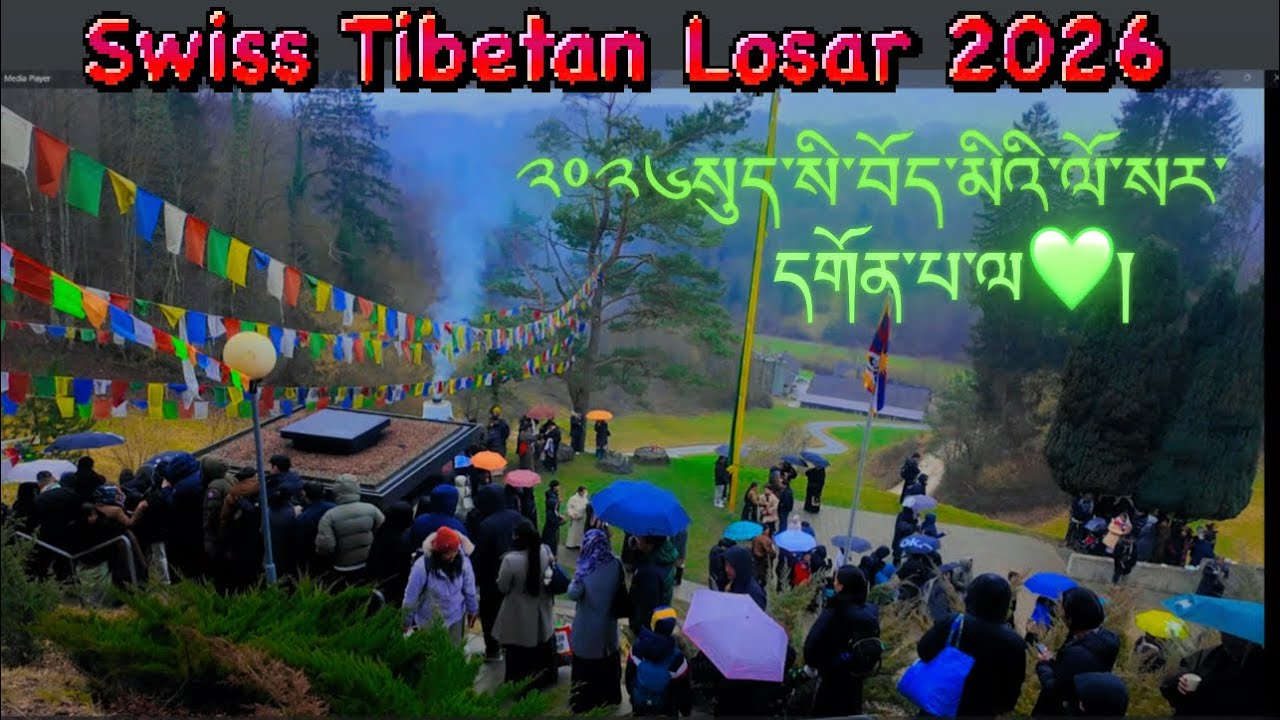 Switzerland tibetan losar 2026 /Gompa #tibetanvlogger #tibetanyoutuber @lotennamling6922 #losar#2026