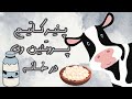 دیگه مکمل پروتئینی نخر خیلی راحت تو خونه درست کن پنیر کاتیج پروتئین وی کازئین دیگه مکمل پروتئینی نخر خیلی راحت تو خونه درست کن پنیر کاتیج پروتئین وی کازئین