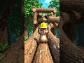 GIANT LOG WATER SLIDE VS BABY BEAVER! 🦫💦 #shorts #animals #waterpark #nature #funny #cartoon