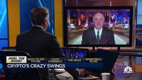 The more volatility crypto is, the more money I make: Mr. Wonderful