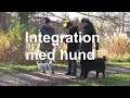 Integration med hund