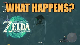 Skydiving at Night in Tears of the Kingdom screenshot 2