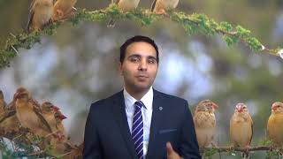 Top four dangers of high cash flow property you should know