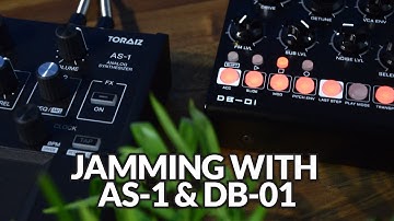 Jamming with Erica Synths DB-01 and Toraiz AS-1