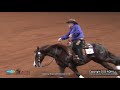 2020 AQHA Senior Reining