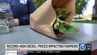 Record diesel prices push up food costs at Wethersfield farm
