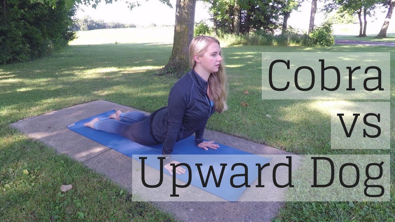Upward Dog With Toes Tucked Upward Dog With Toes Tucked