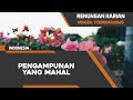 Pengampunan Yang Mahal | Renungan Harian Minggu, 1 Februari 2026