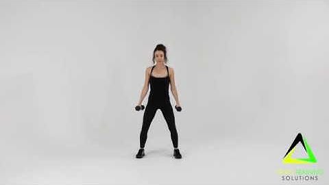 Dumbbell Split Squat To Hammer Fist Curl