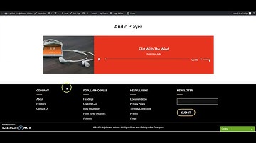 Ninja Beaver Addons   Audio Module