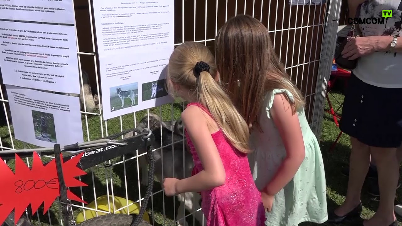Les 10 Meilleurs zoo à Egriselles-le-Bocage et Yonne ()