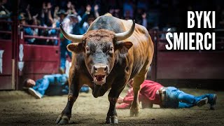 6 najgroźniejszych byków w historii rodeo – te zwierzęta budzą respekt! screenshot 2