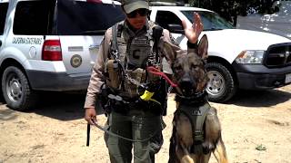 The year 2019 marks 50th anniversary of california state parks k-9
program, and we want to salute this dedication highlight history
achie...