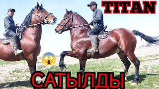 ЧЫКТЫ САТЫЛДЫ