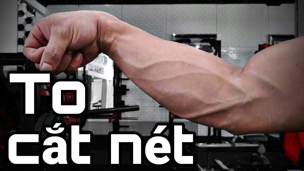 Hướng Dẫn Tập Cẳng Tay TO KHỎE & CẮT NÉT | Forearms Workout