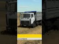 #ферма #рекомендации  как вам