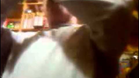 Coyote Howler buffalo horn.3GP