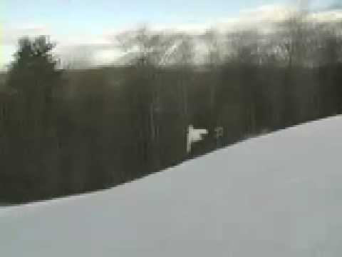 Taylor Owen Snowboarding